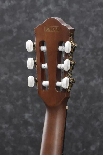 Ibanez AEG50N-BKH nylon string