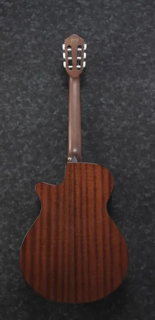 Ibanez AEG50N-BKH nylon string