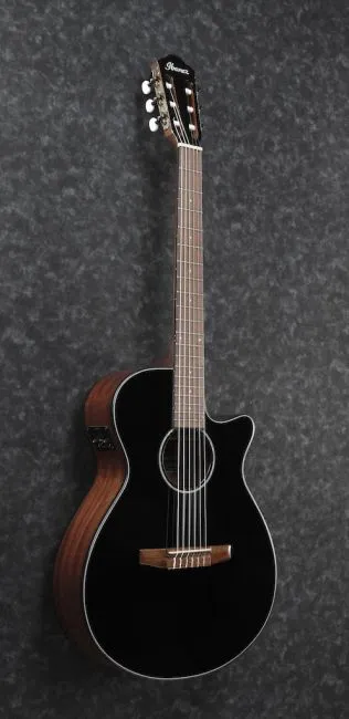 Ibanez AEG50N-BKH nylon string