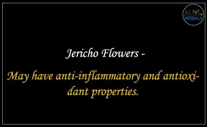 Jericho Flowers