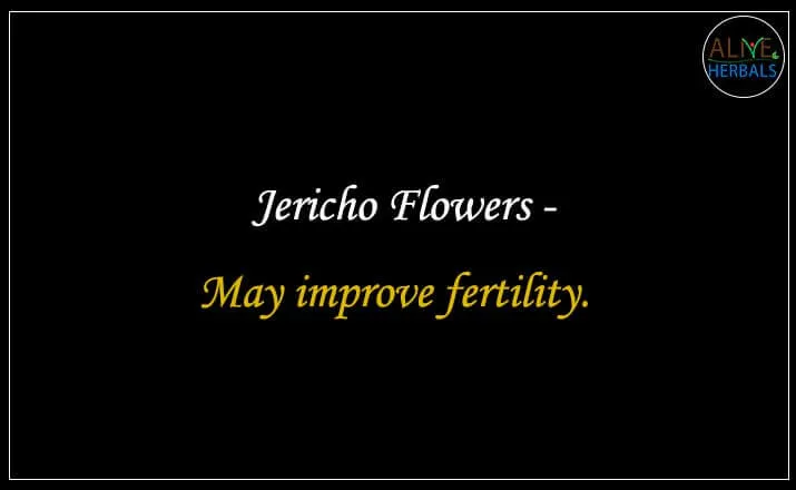 Jericho Flowers