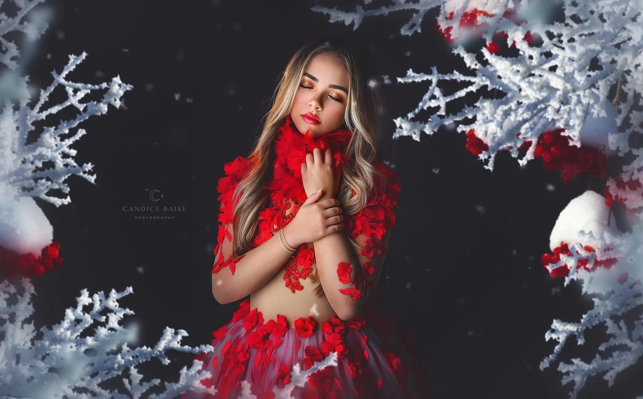 Kiss from a rose