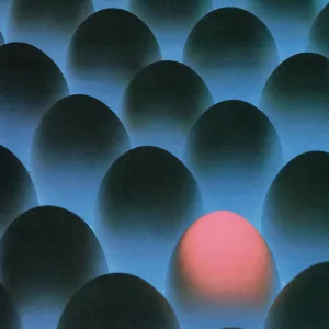 Mind, The – Open Up The Window and Leave Your Body – New LP