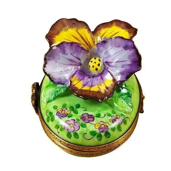 Pansy - Purple & Yellow