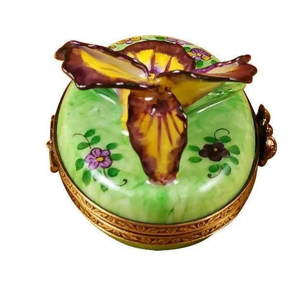 Pansy - Purple & Yellow