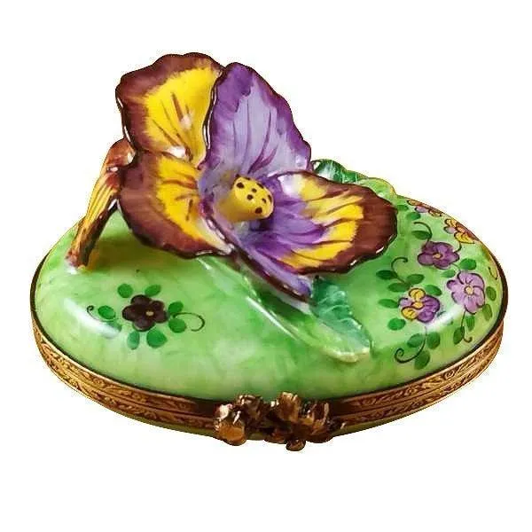 Pansy - Purple & Yellow