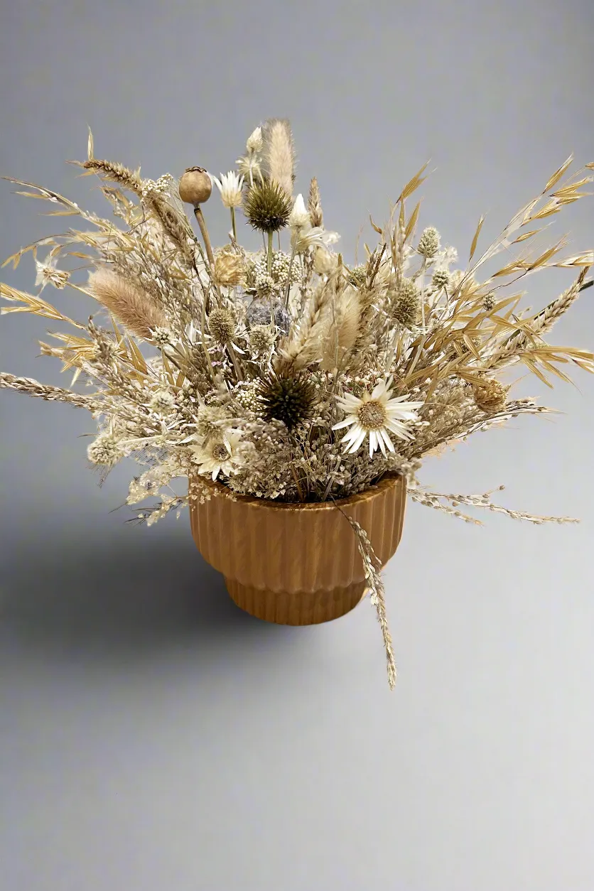 Papillion Dried Floral Small