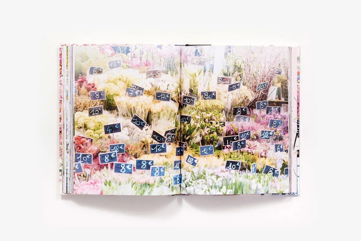 Paris in Bloom