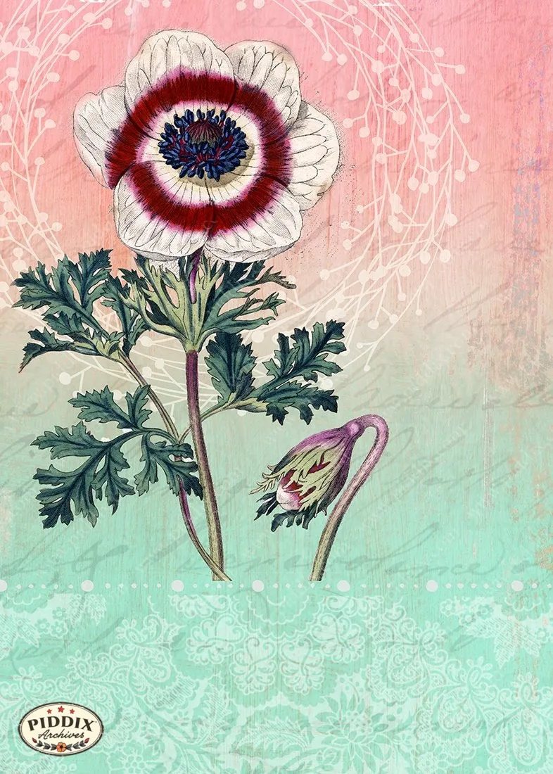 PDXC1796g -- Flowers