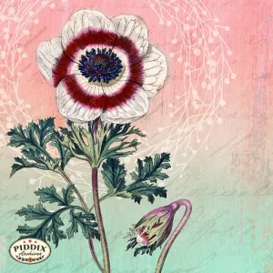 PDXC1796g -- Flowers
