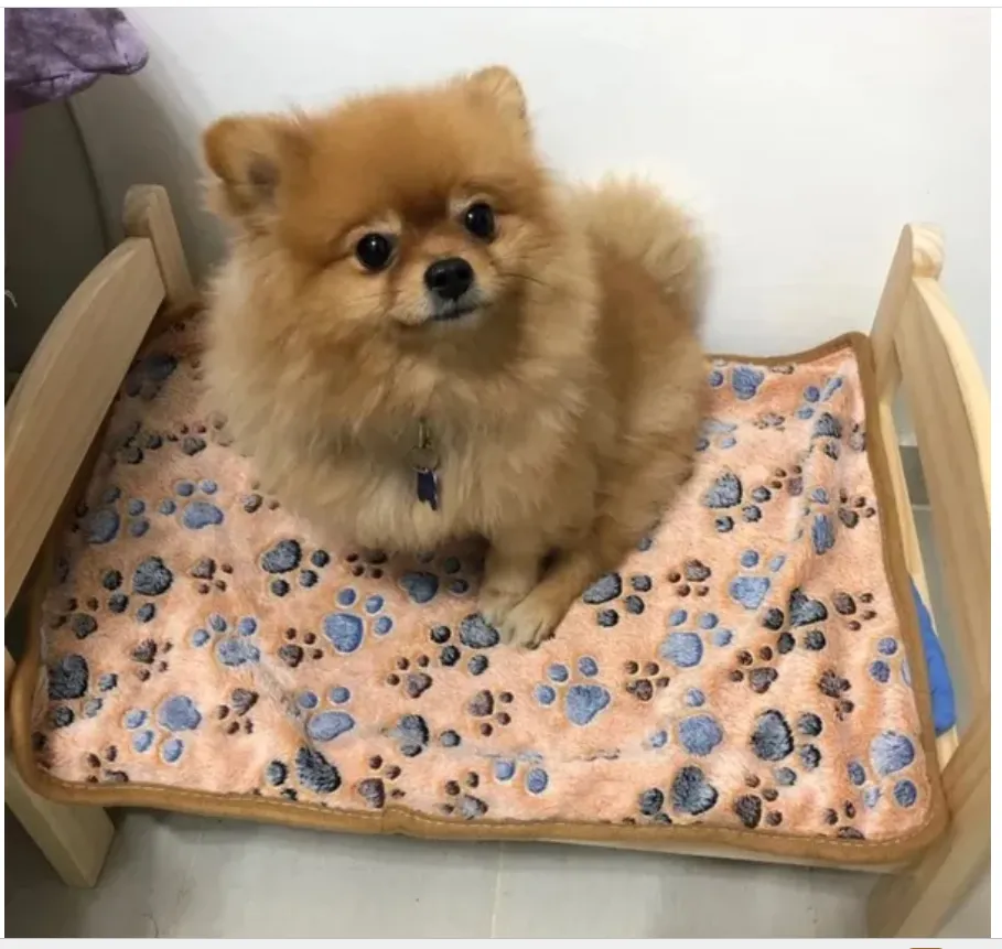 Pet Soft and Fluffy High Quality Pet Blanket Cute Cartoon Pattern Pet Mat Warm and Comfortable Blanket for Cat and Dogs