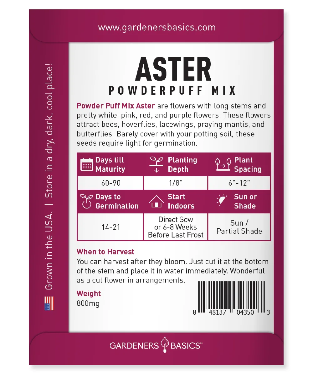 Powder Puff China Aster Seeds