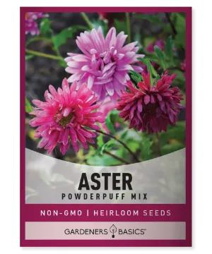 Powder Puff China Aster Seeds