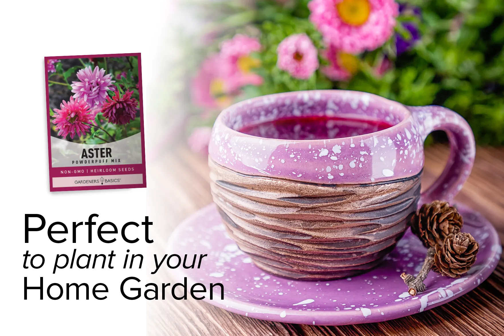 Powder Puff China Aster Seeds