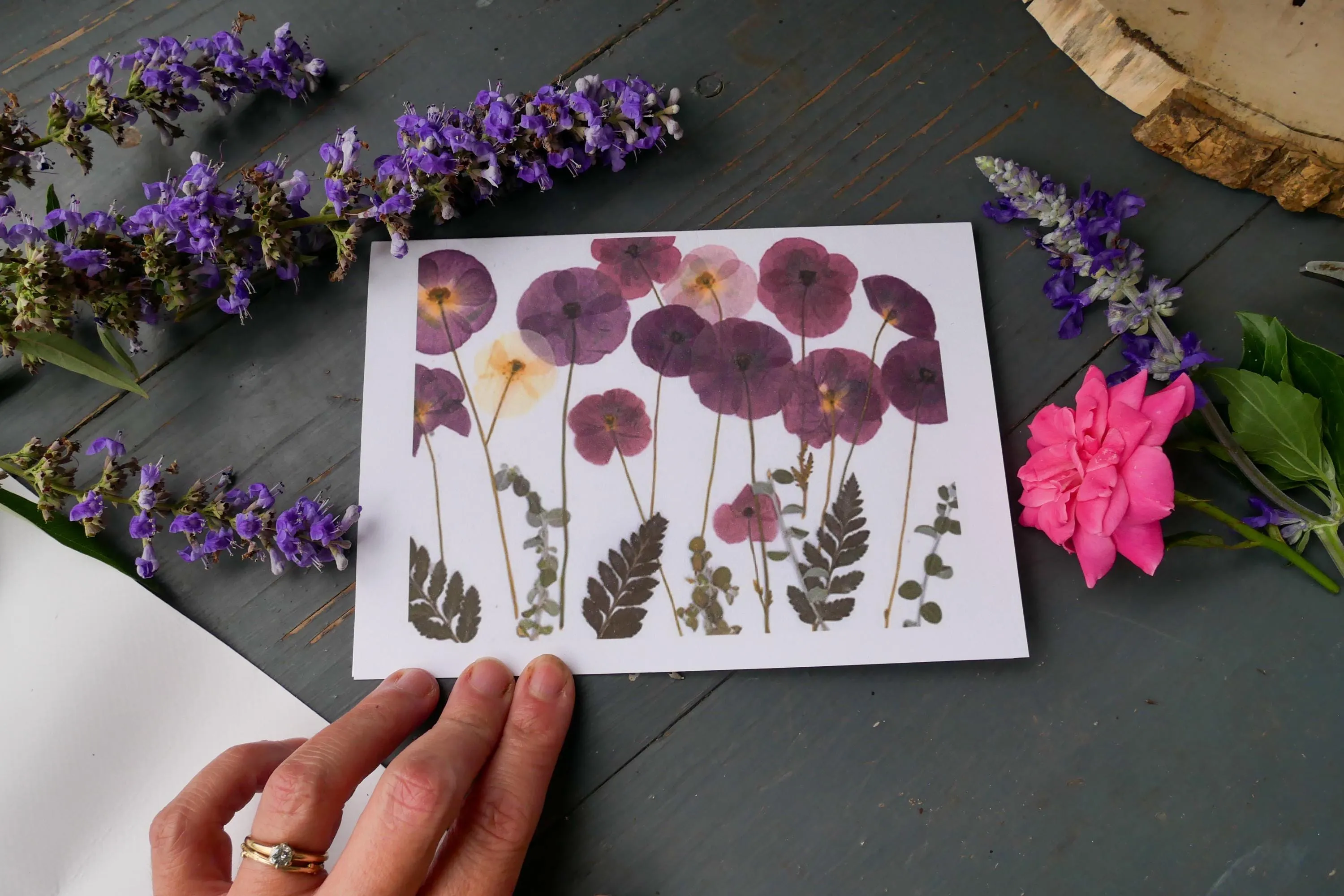 Pressed flower greeting card- whimsical fairy riding a turtle