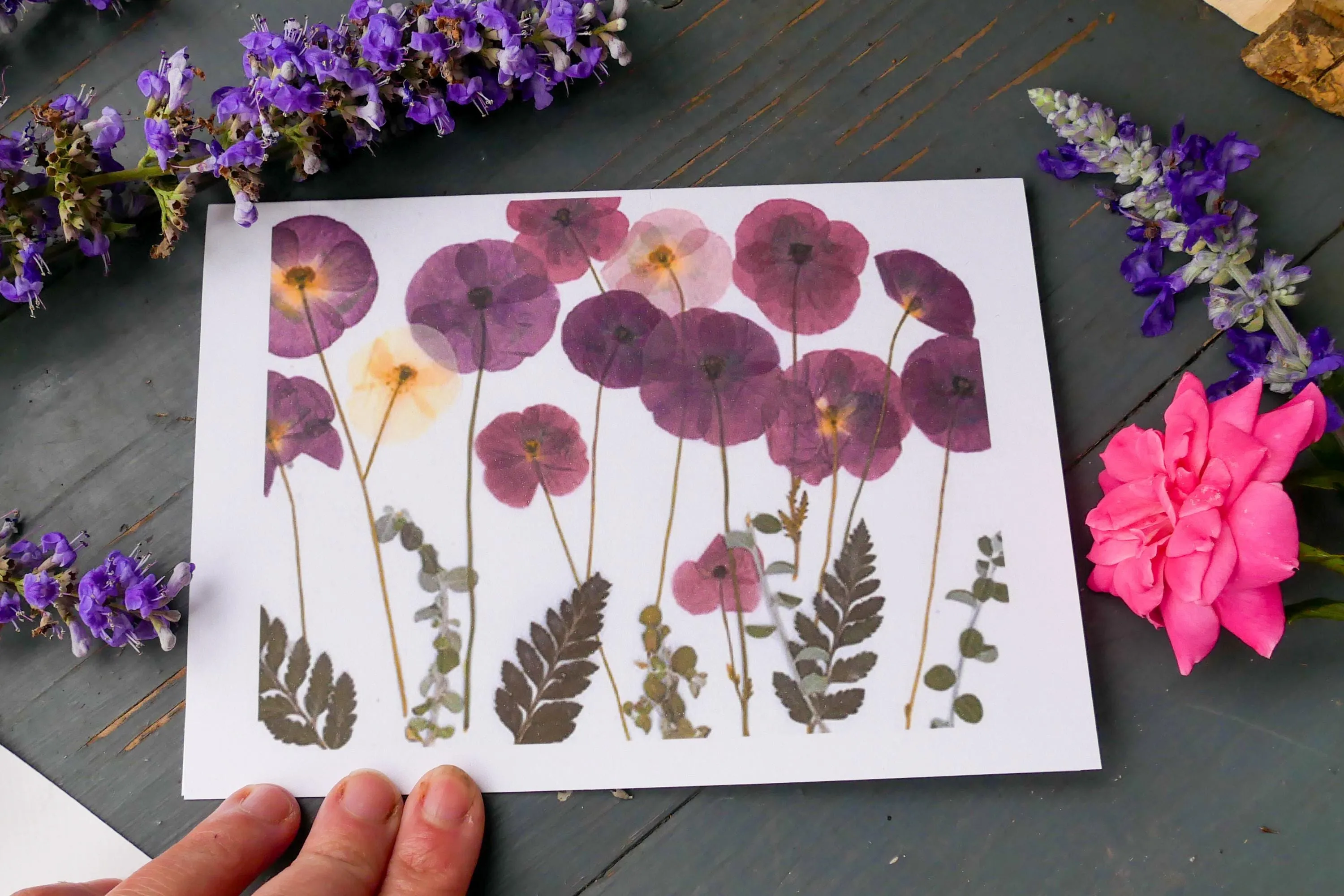 Pressed flower greeting card- whimsical fairy riding a turtle