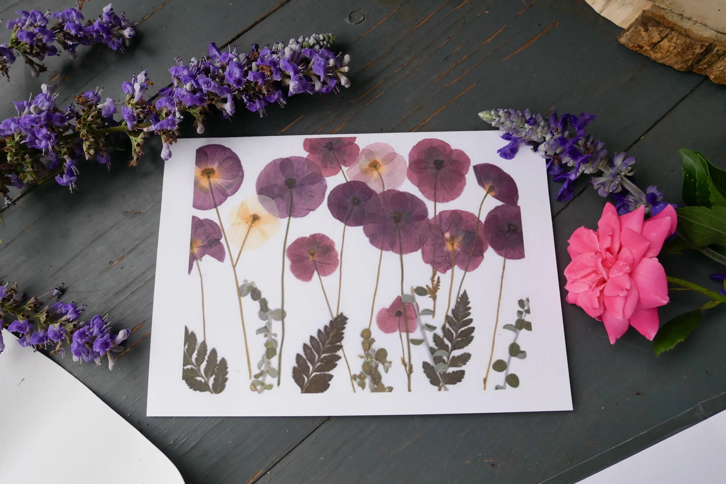 Pressed flower greeting card- whimsical fairy riding a turtle