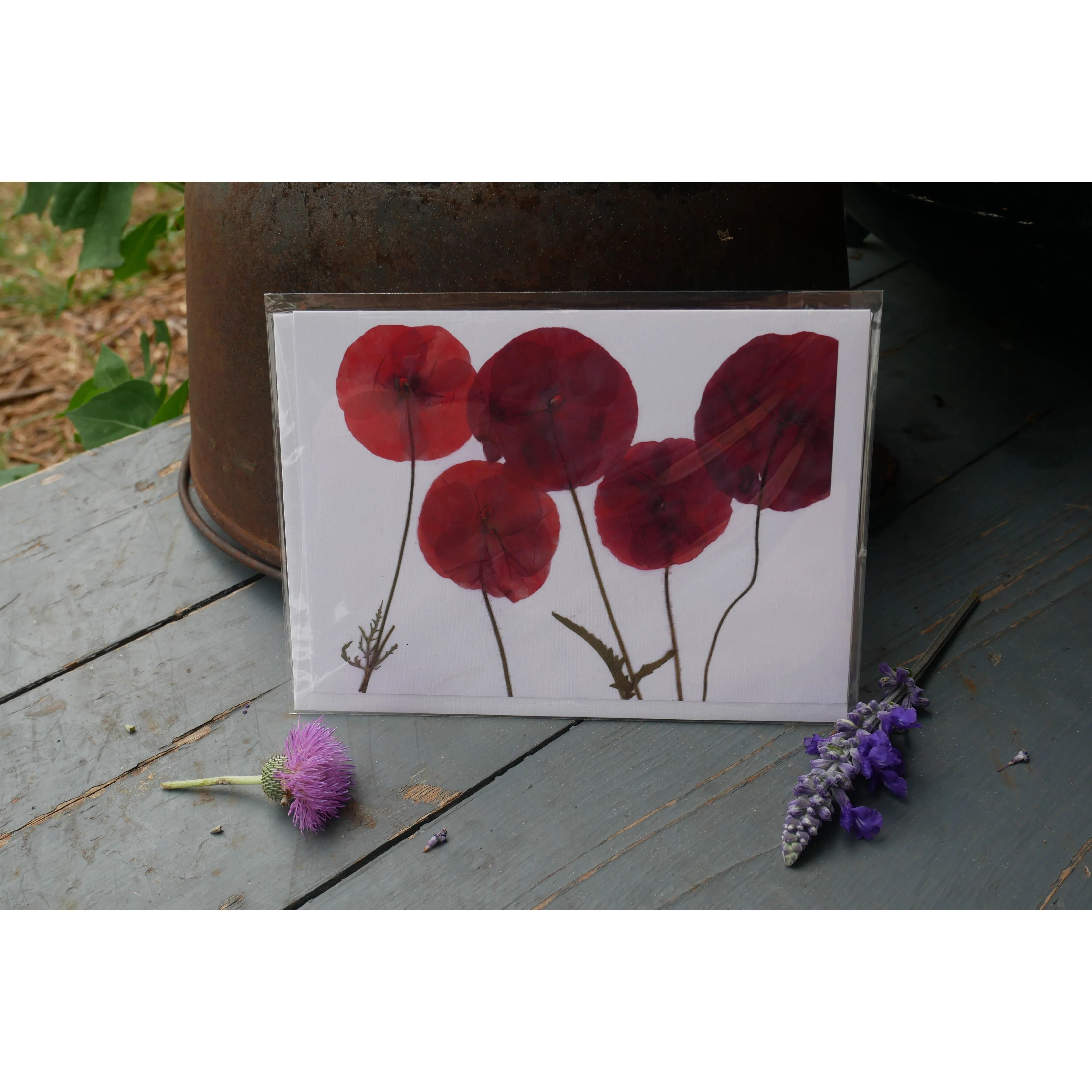 Pressed poppy greeting card