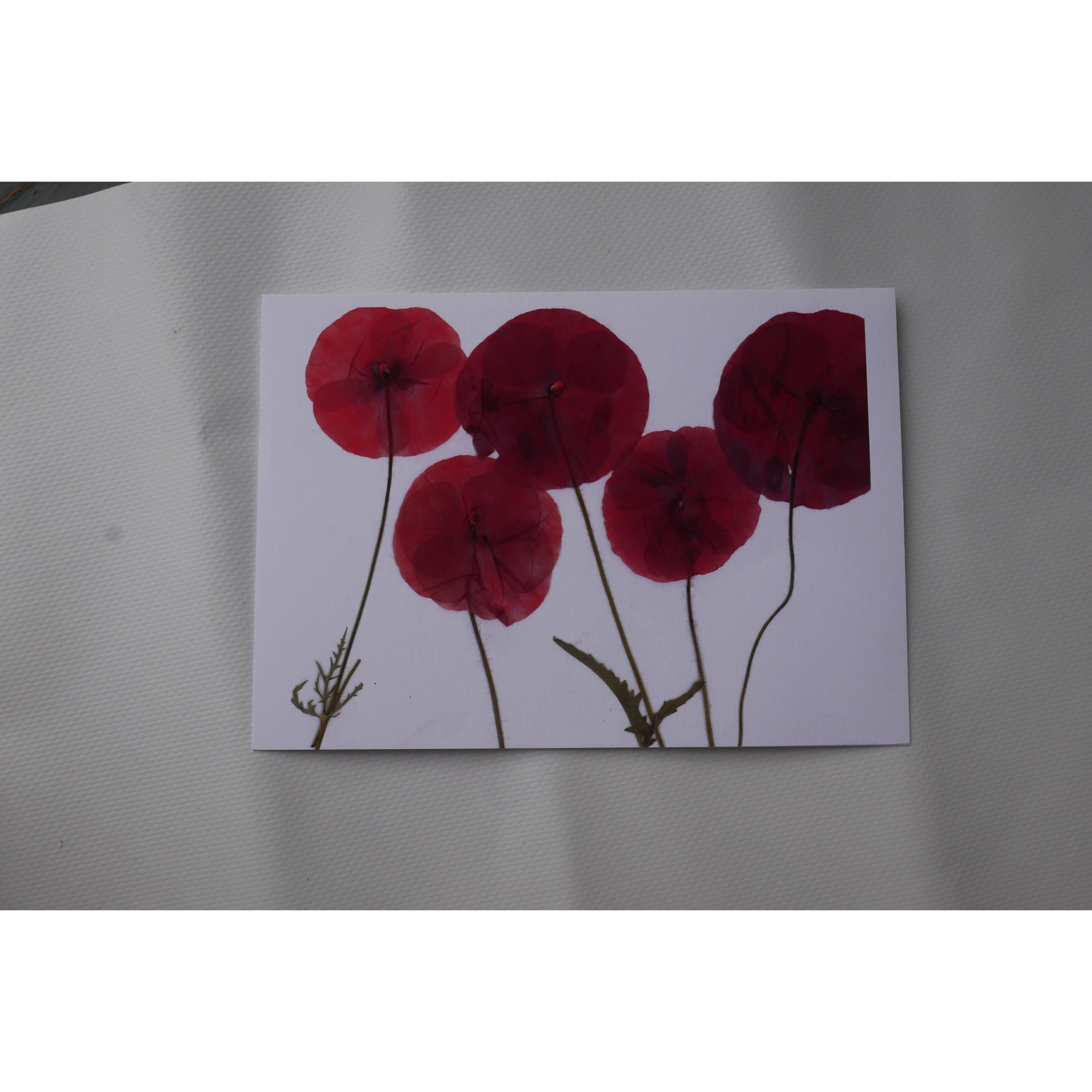 Pressed poppy greeting card