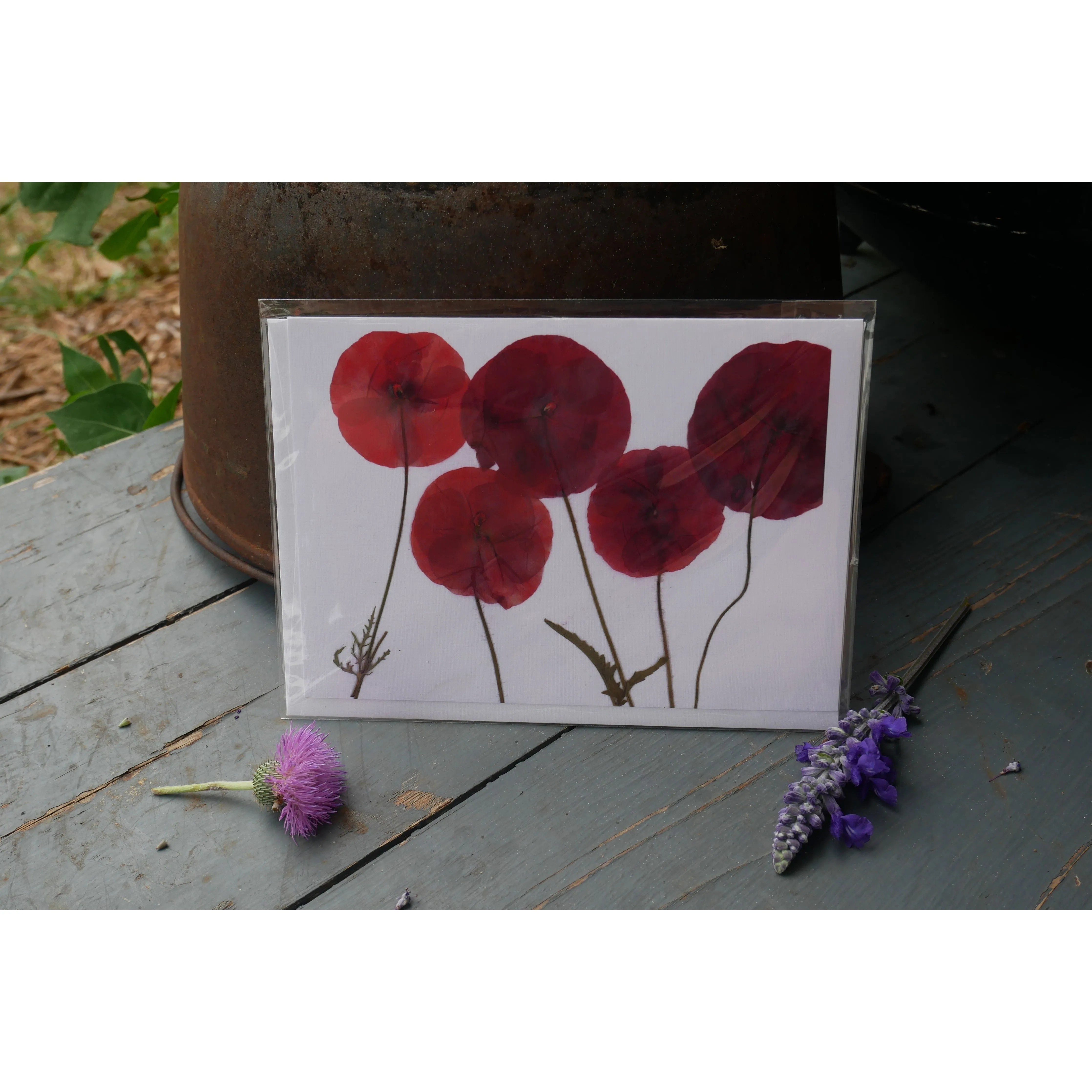 Pressed poppy greeting card