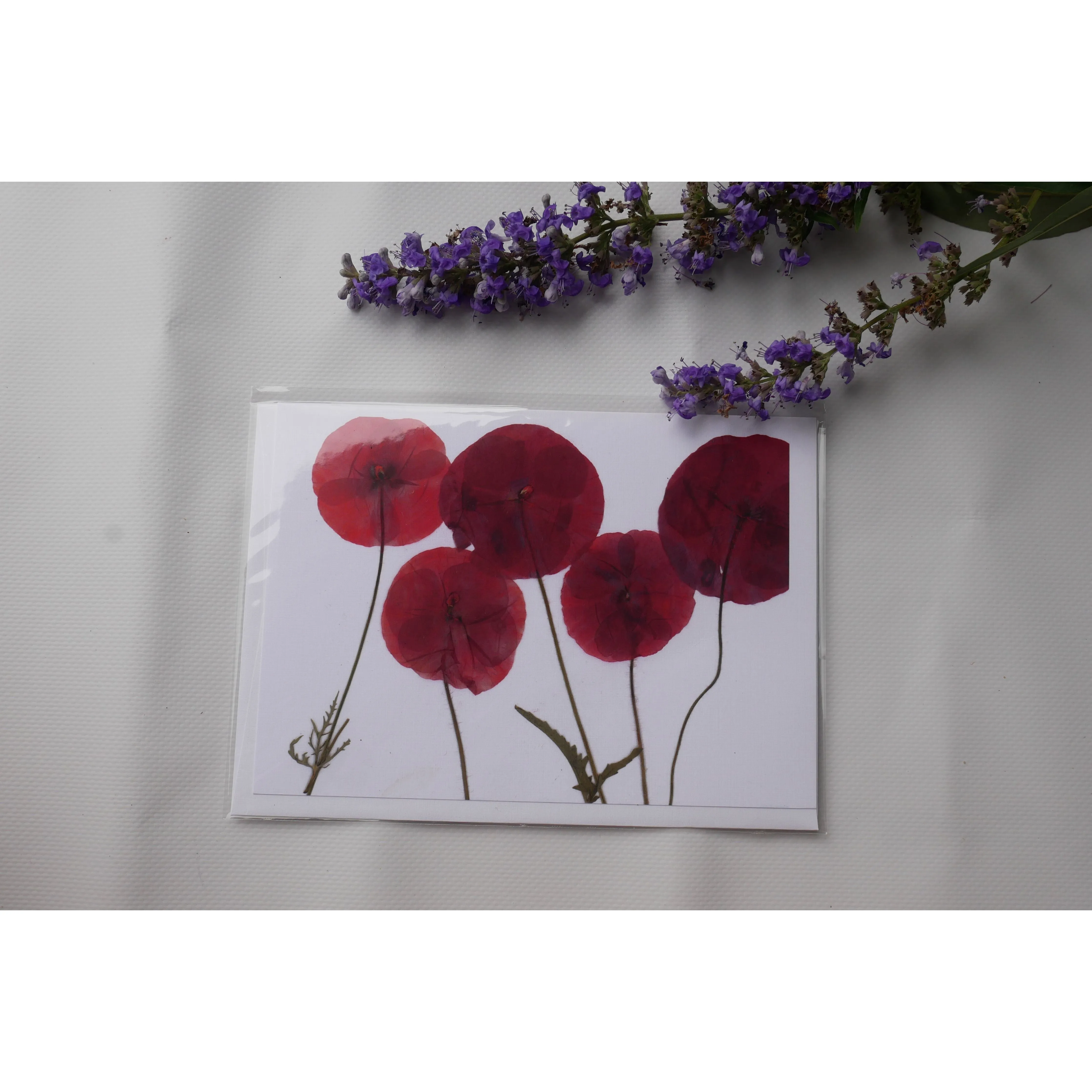 Pressed poppy greeting card