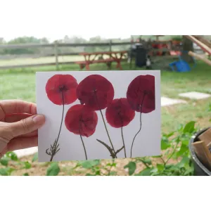 Pressed poppy greeting card