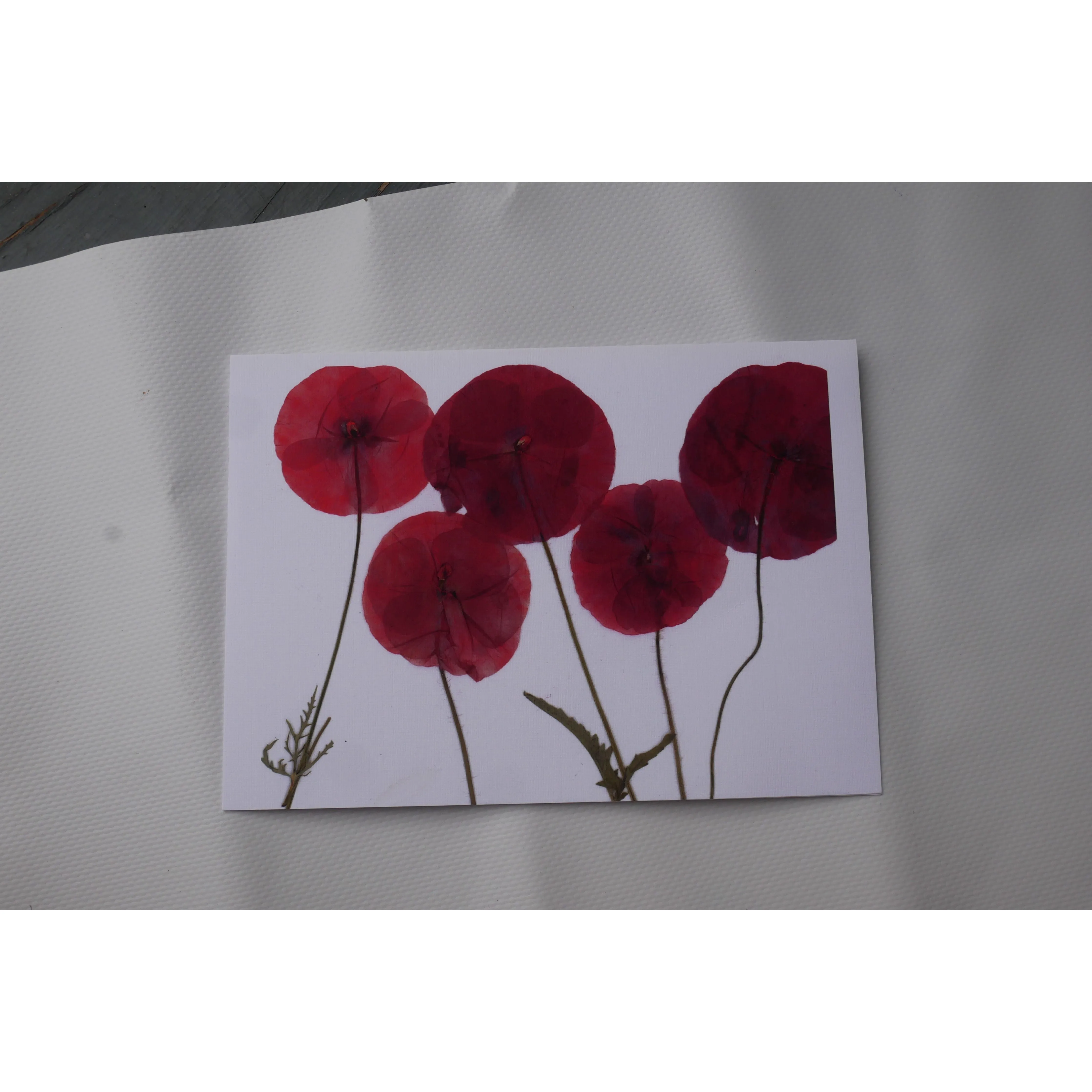 Pressed poppy greeting card