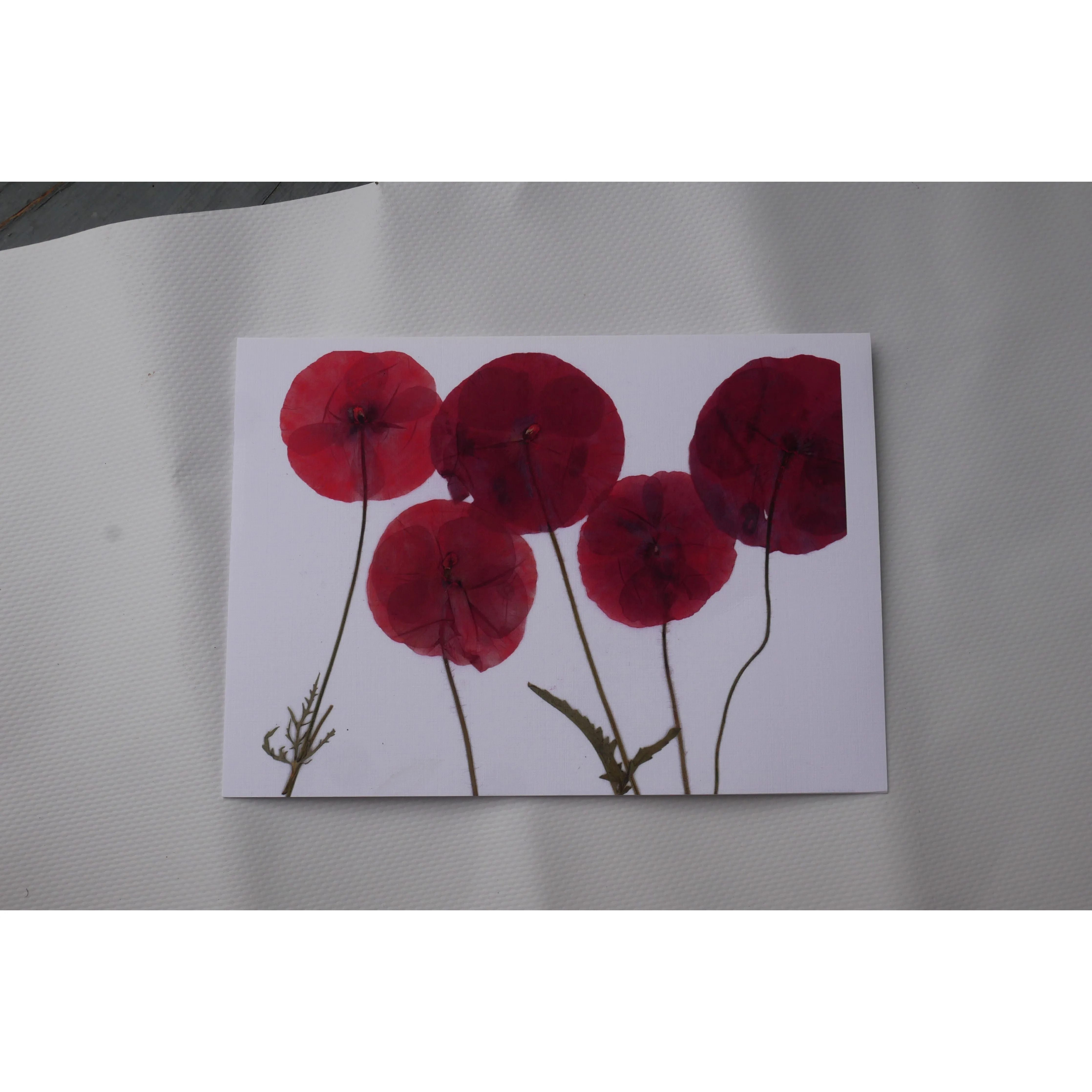 Pressed poppy greeting card