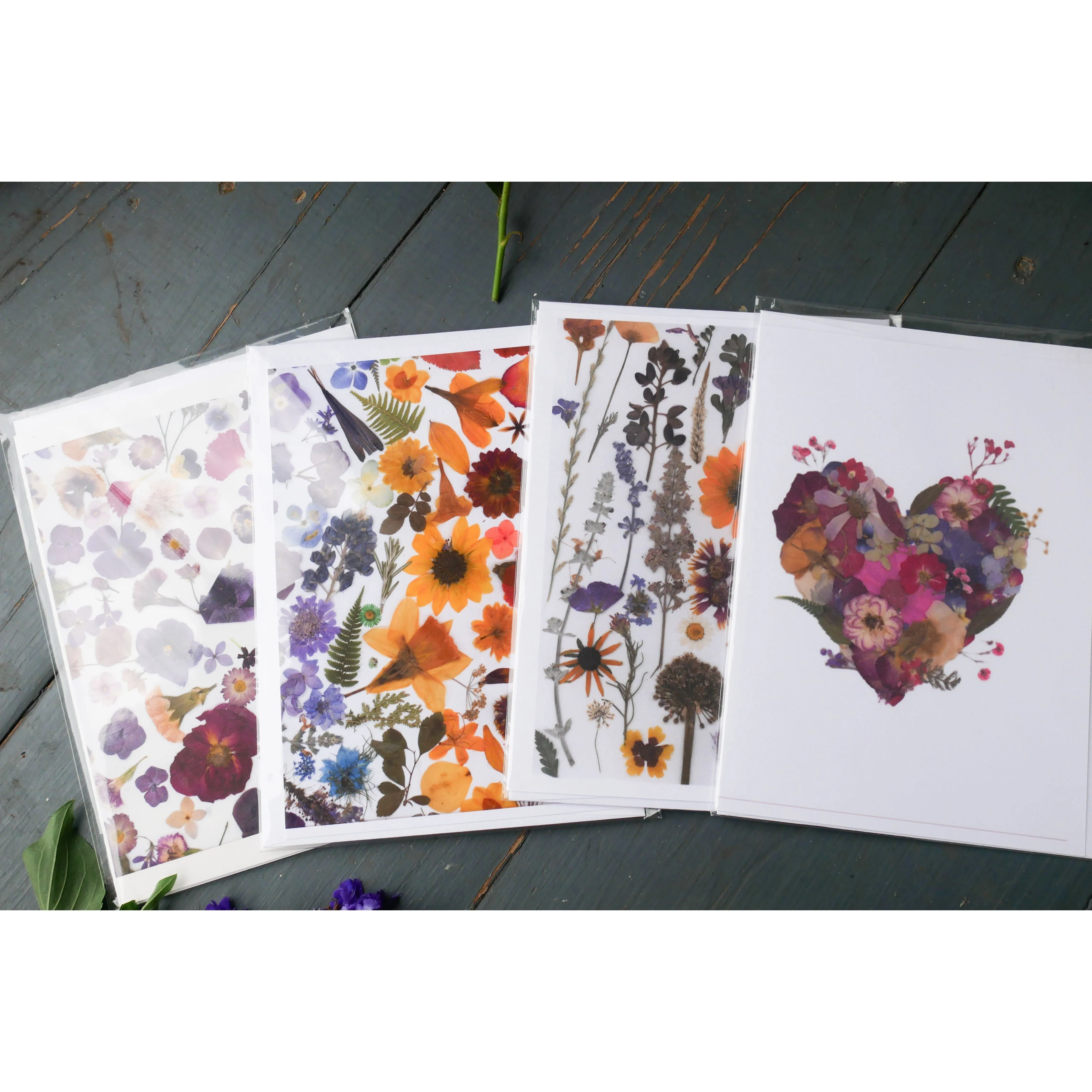 Pressed poppy greeting card