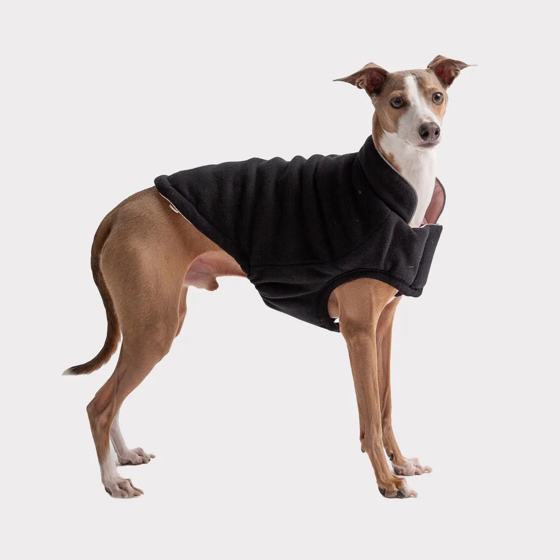 Reversible Chalet Dog Jacket | Black Fleece