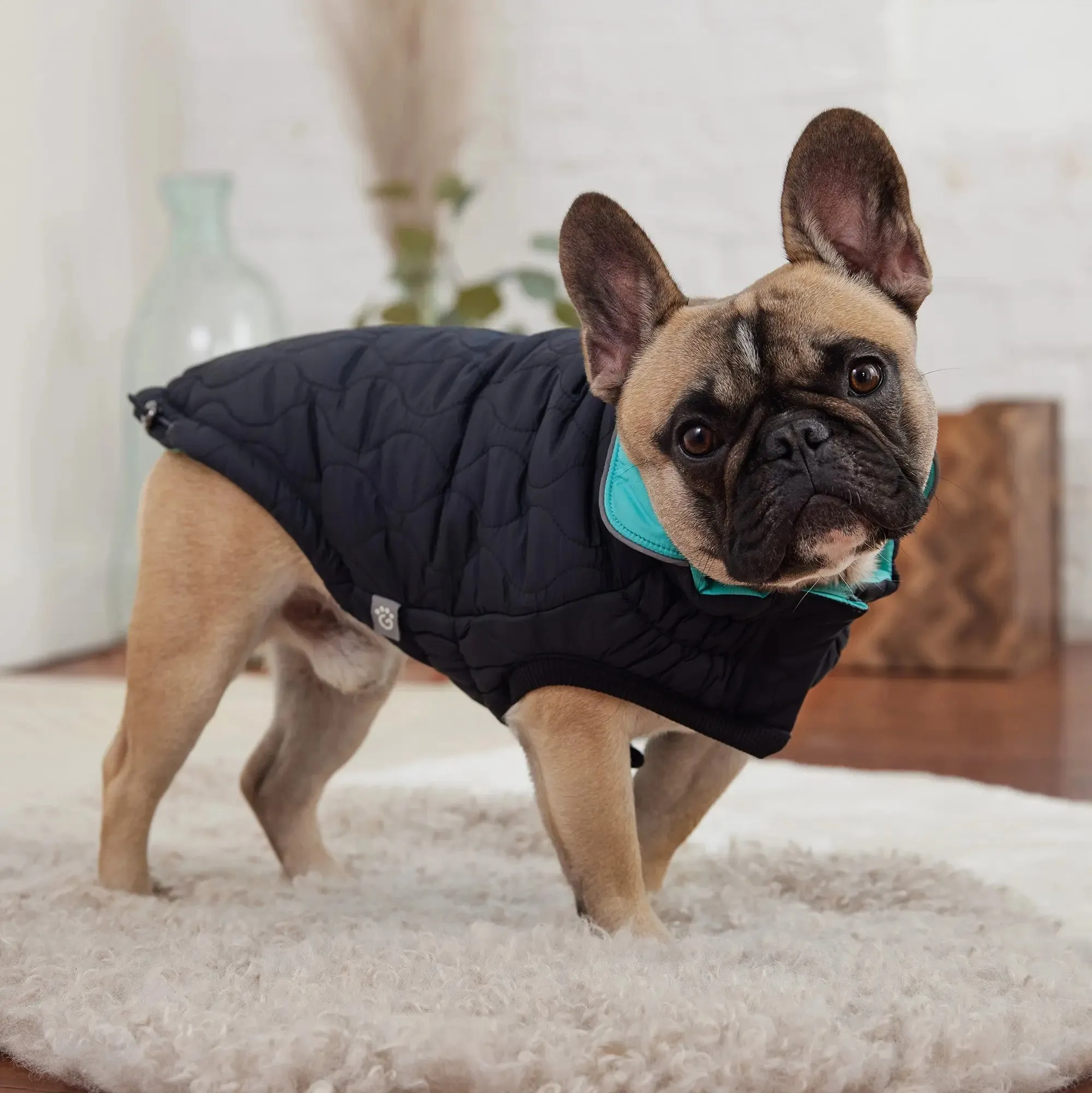 Reversible Chalet Dog Jacket | Black / Neon Aqua