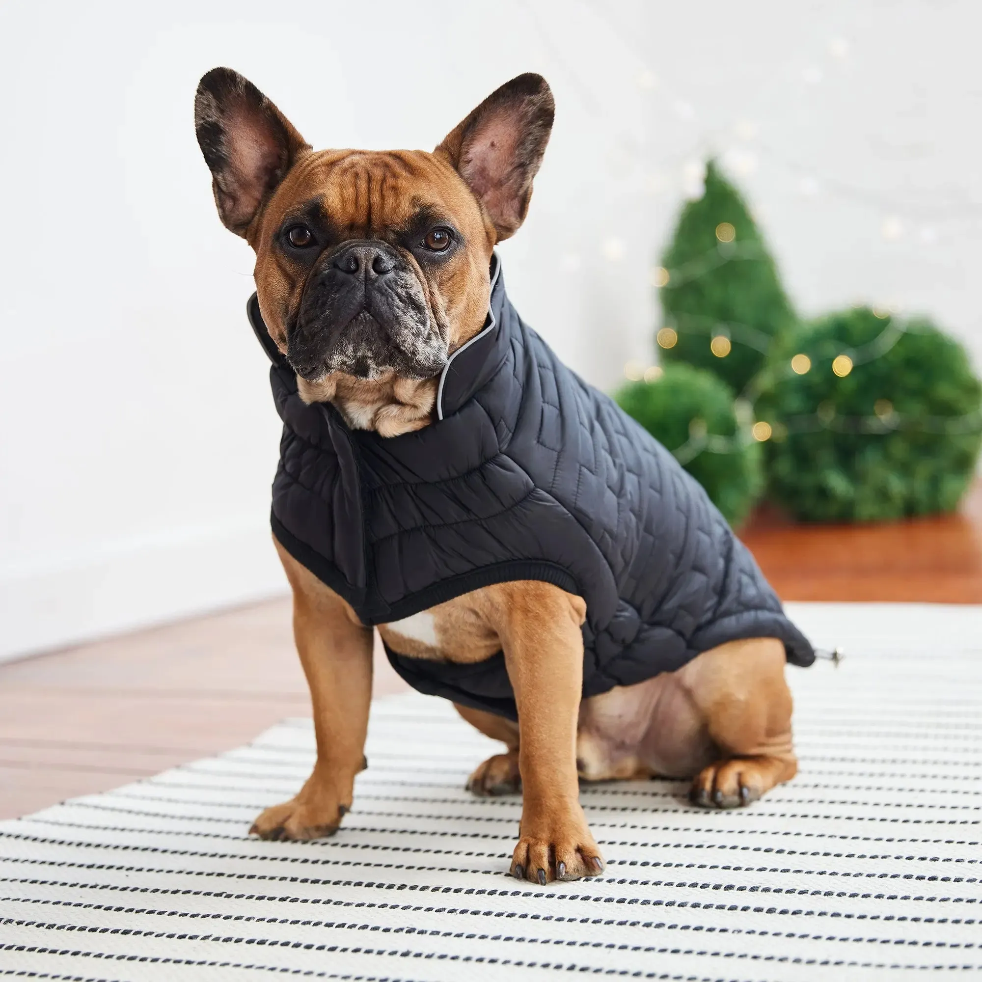 Reversible Chalet Dog Jacket | Black