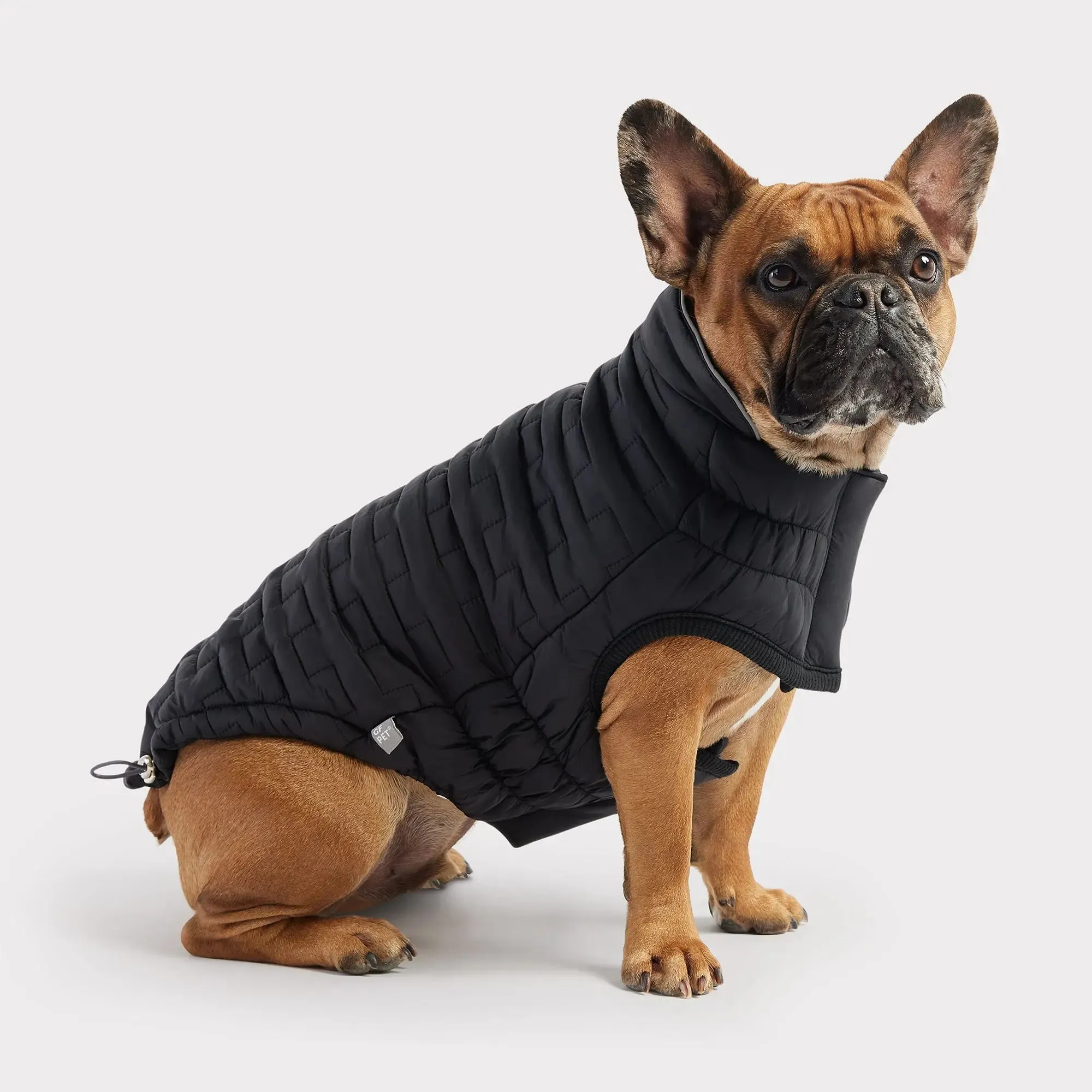 Reversible Chalet Dog Jacket | Black