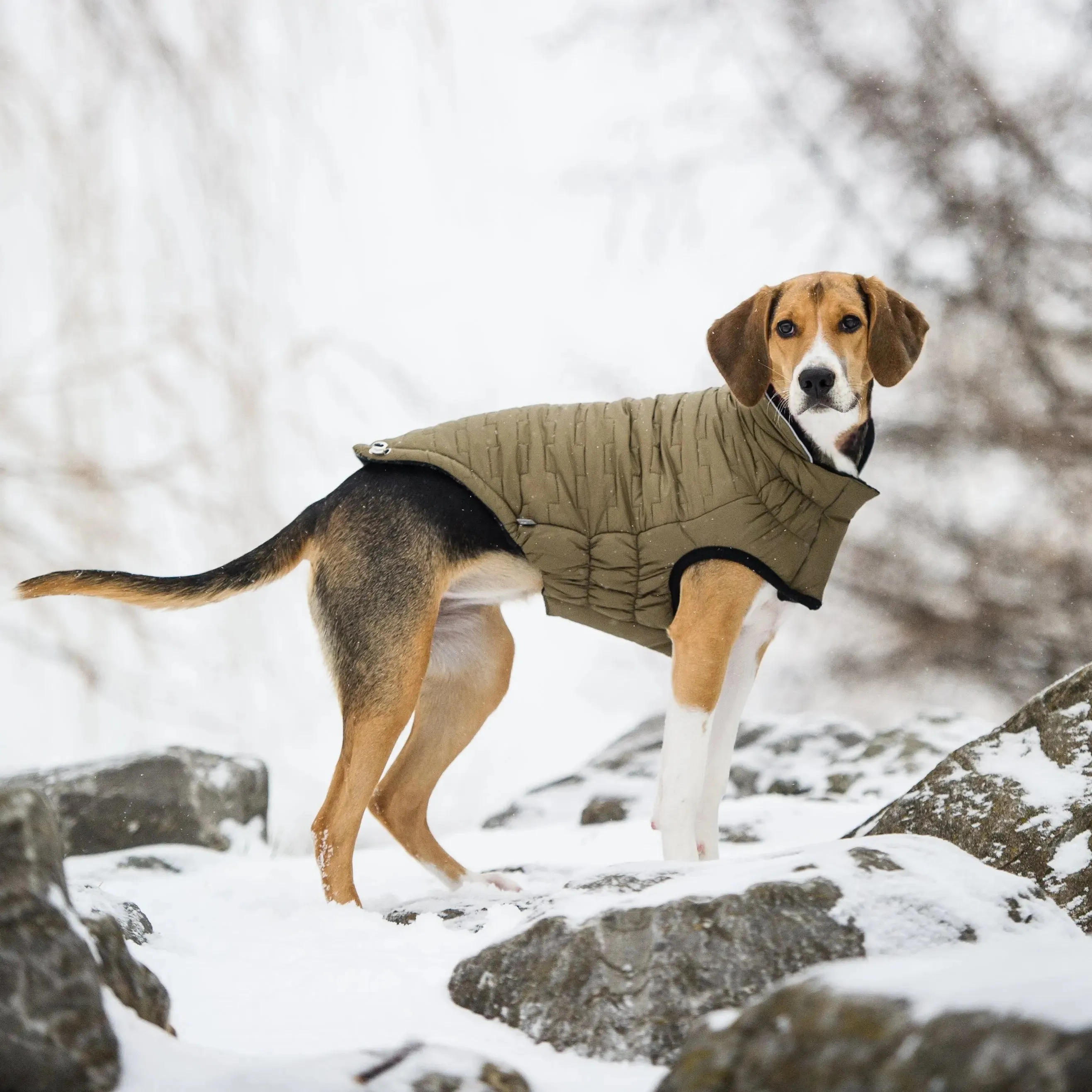 Reversible Chalet Dog Jacket | Khaki