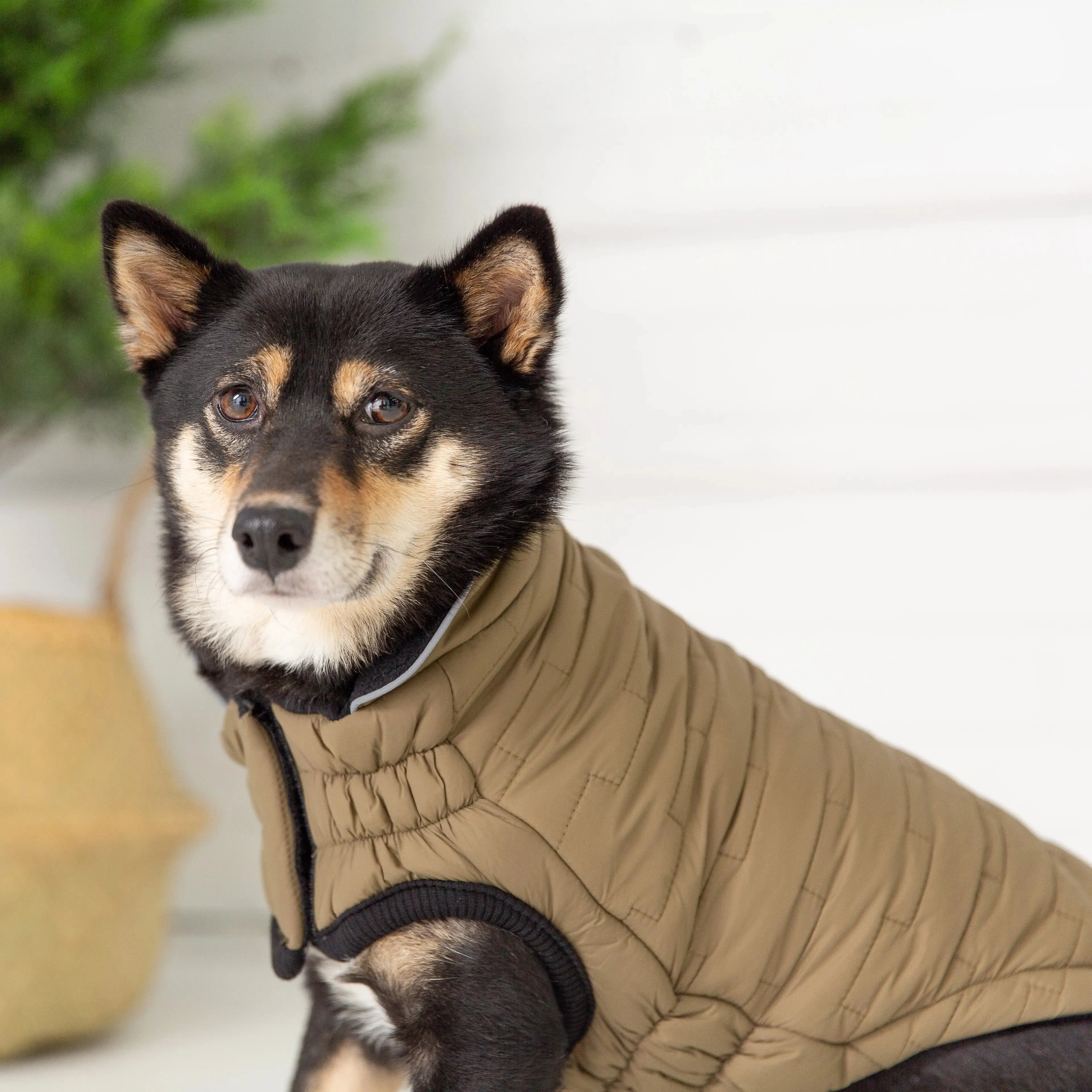 Reversible Chalet Dog Jacket | Khaki