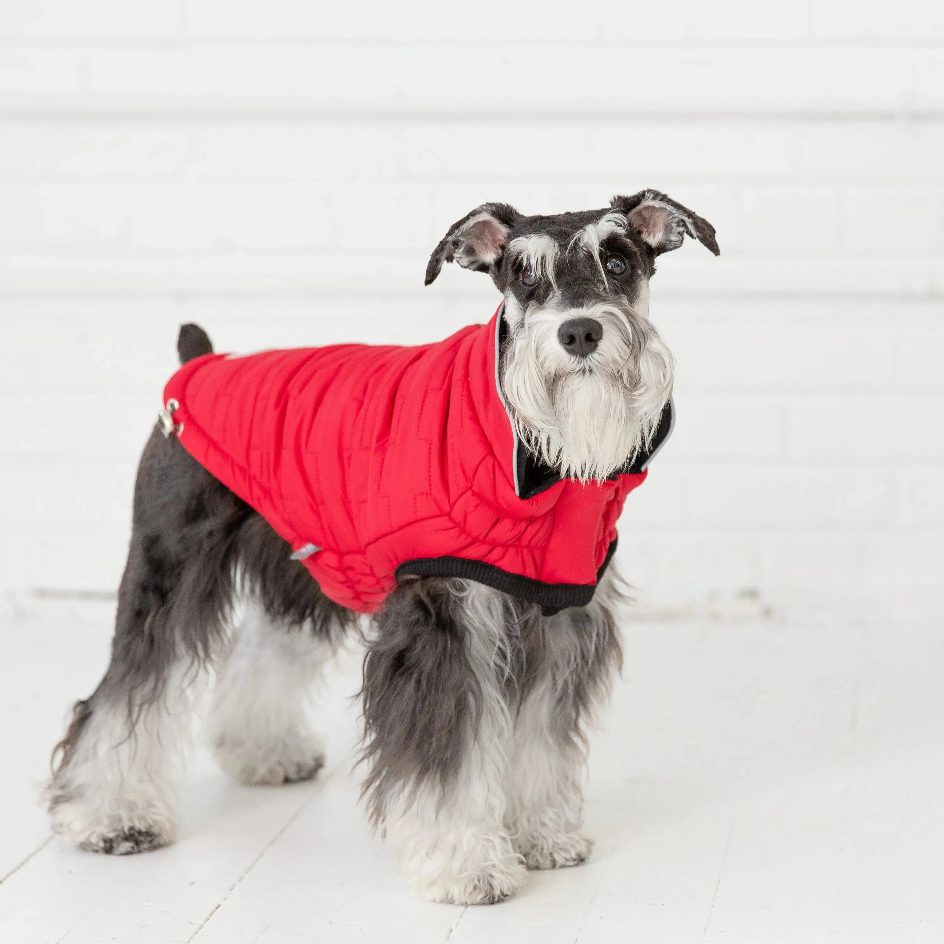 Reversible Chalet Dog Jacket | Red