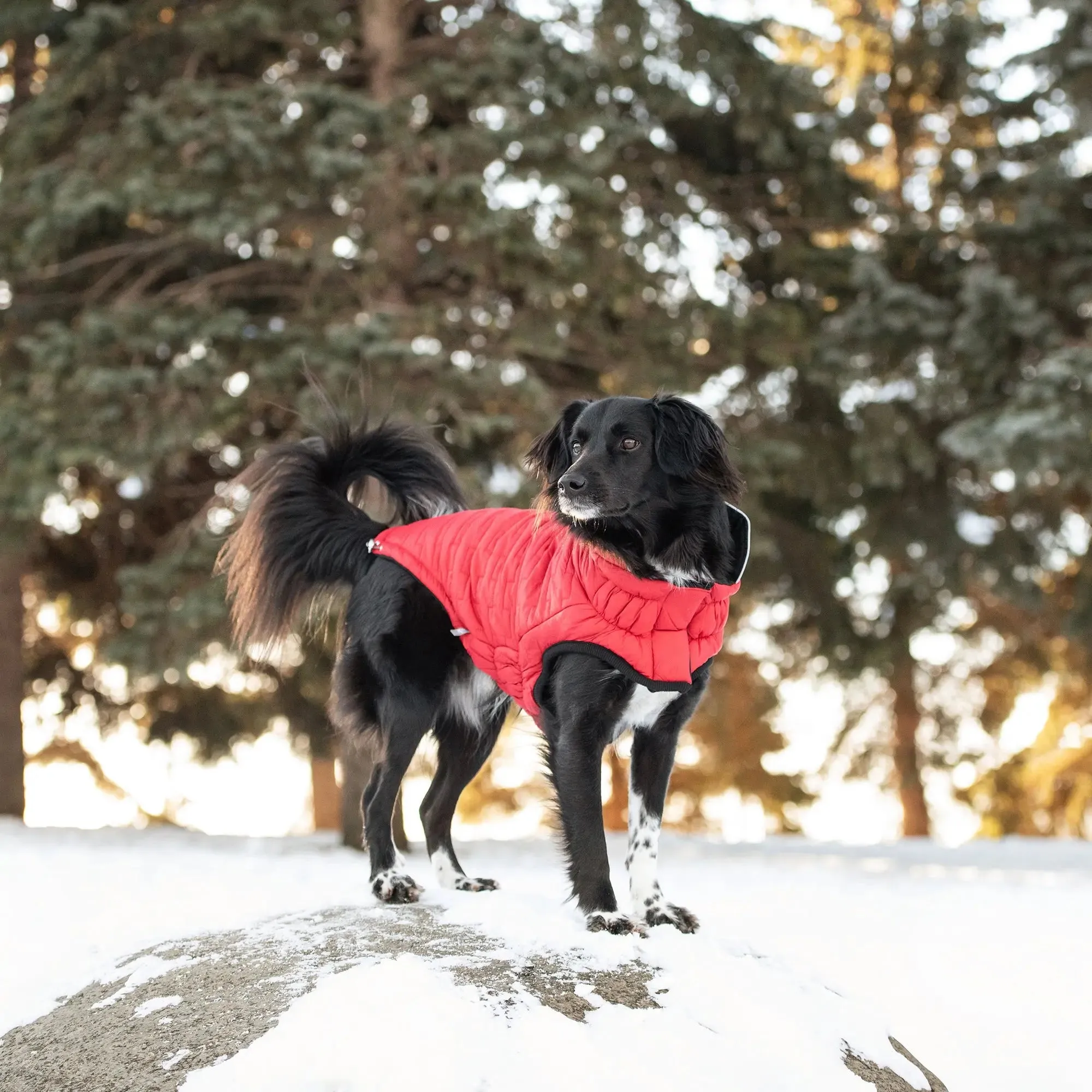 Reversible Chalet Dog Jacket | Red