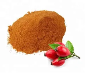 Rosehip Tea/Shells (Fine) Organic