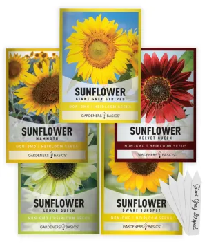 Sunflower Planting Seeds | 5 Variety Pack
