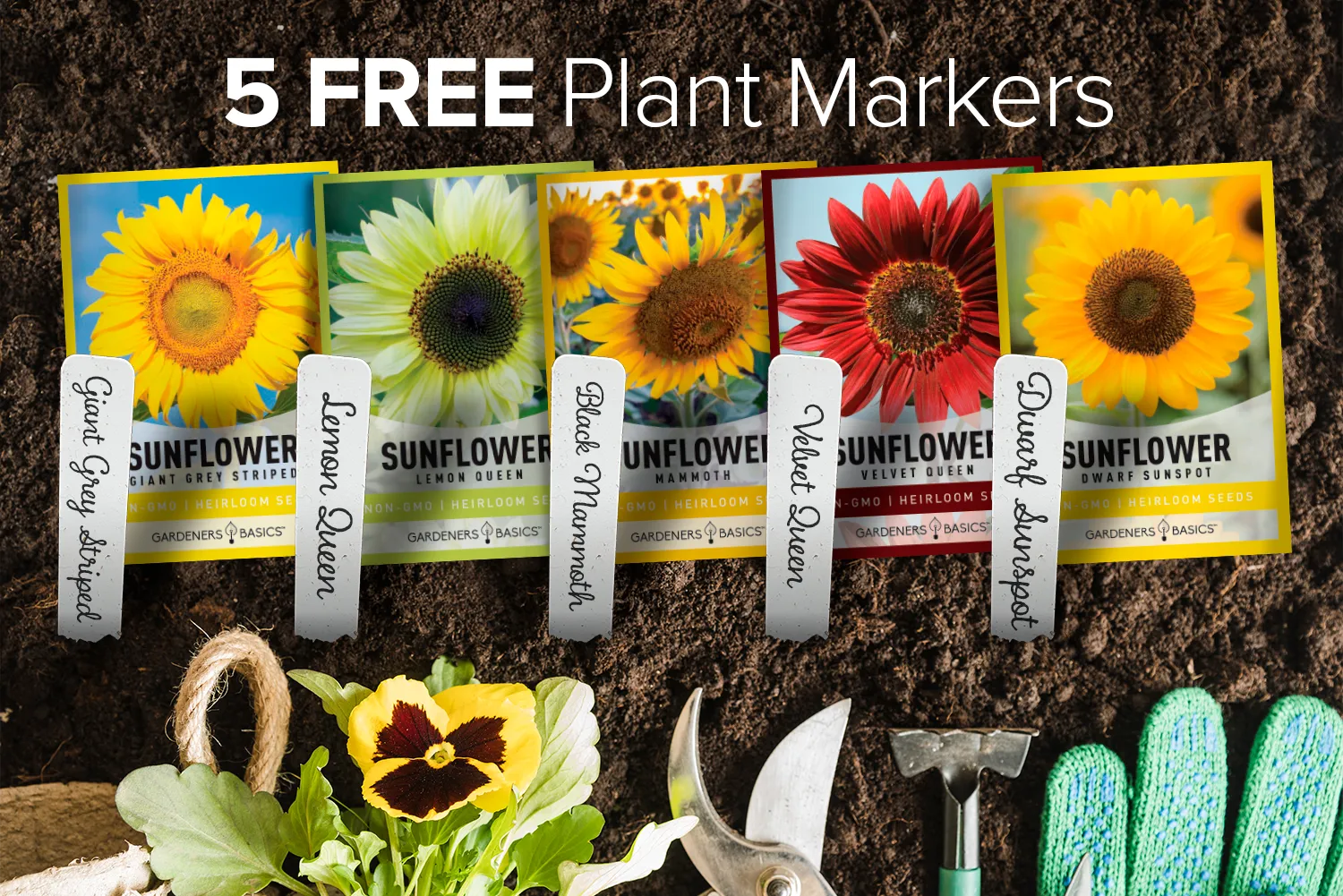 Sunflower Planting Seeds | 5 Variety Pack
