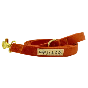 Tangerine Velvet - Dog Leash