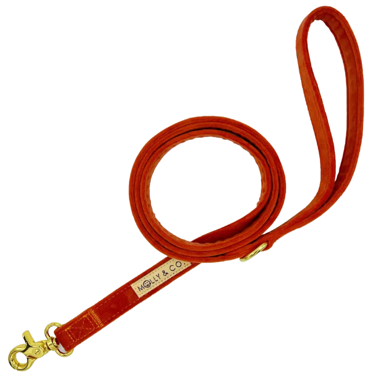 Tangerine Velvet - Dog Leash