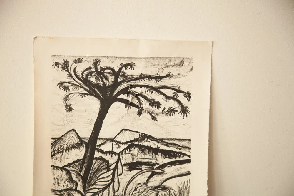 Tom Cox Black and White Art